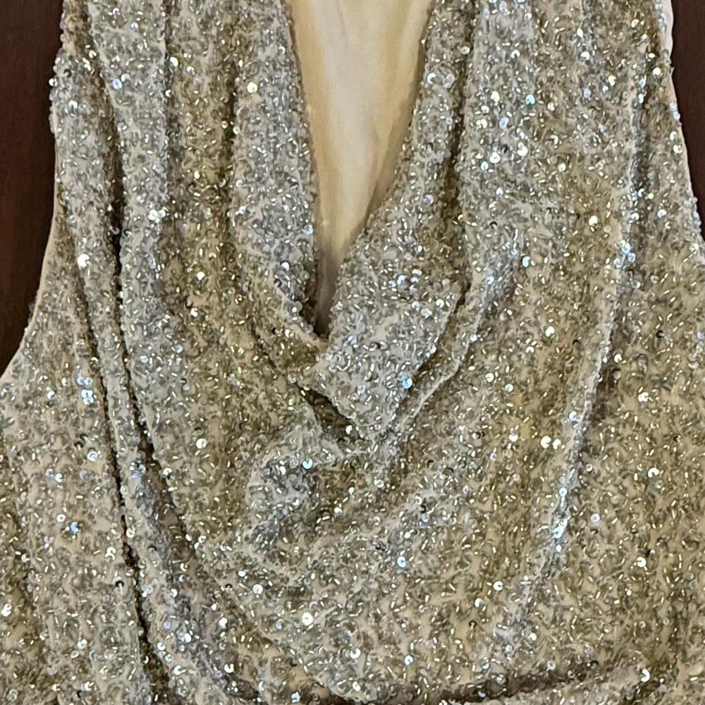 Haute Hippie Silver Sequin Embellished Top - Picture 4 of 8